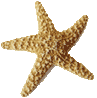 ArubaHouse Villa Starfish